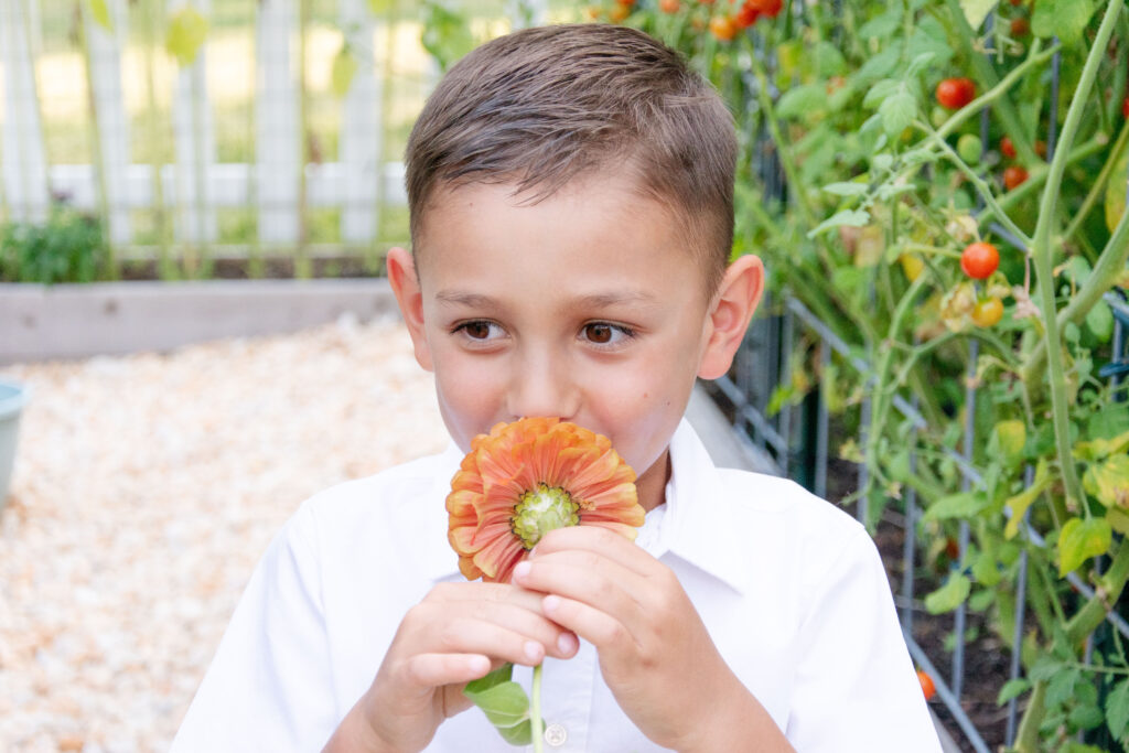 young boy smelling orange flower.