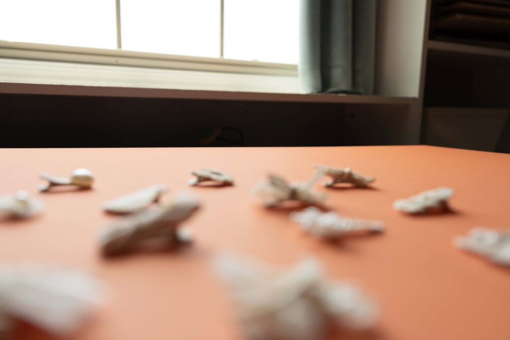 Photo of window in the background of bows. For brand photography.